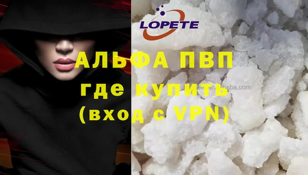 стаф Беломорск