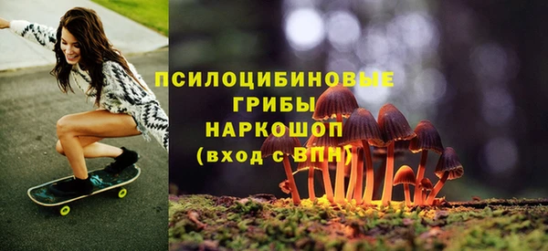 дмт Белоозёрский