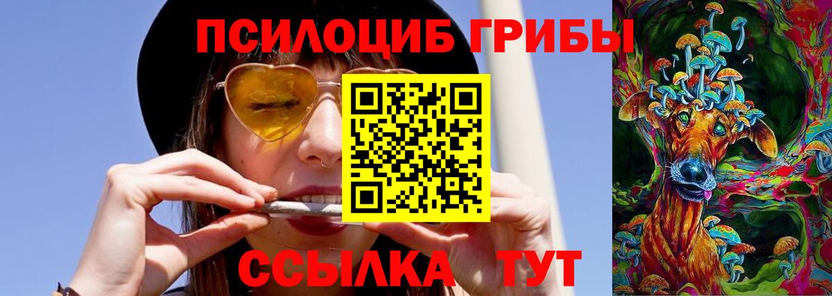 Псилоцибиновые грибы мухоморы Верхний Уфалей